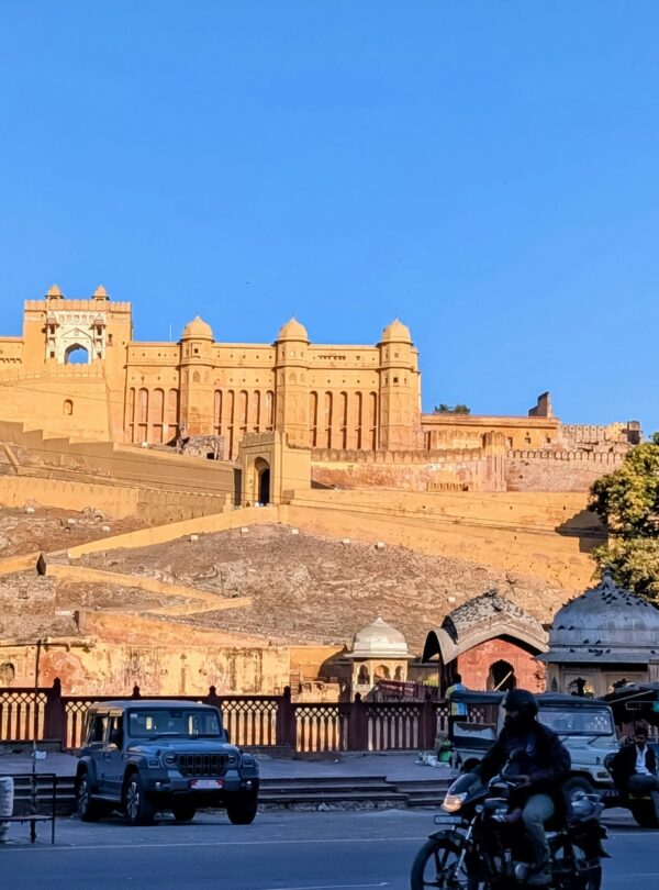 anamika-clicks-HgYh1_AgdmE-unsplash