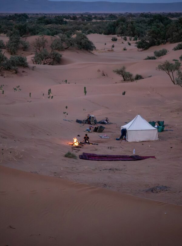 bernd-dittrich-h1zE_xLhsXg-unsplash